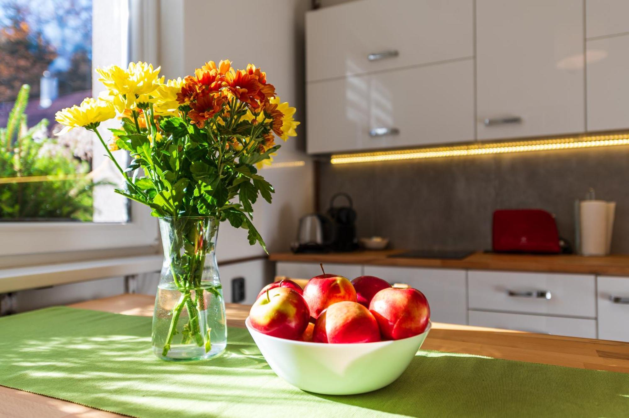 Ubytovani Na Samote - Apartman U Tesaru Komarice المظهر الخارجي الصورة